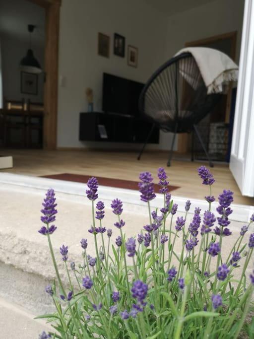 Ferienwohnung Zur Parthe Grimma Esterno foto